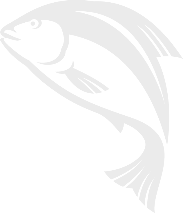 fish-leftside