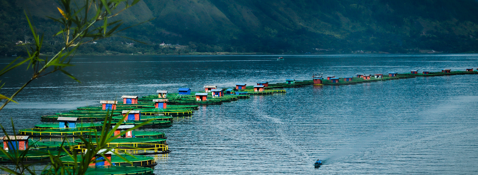 Feliz 10º. aniversario a la primera granja piscícola en ser certificada por el Consejo de Custodia de Acuacultura*